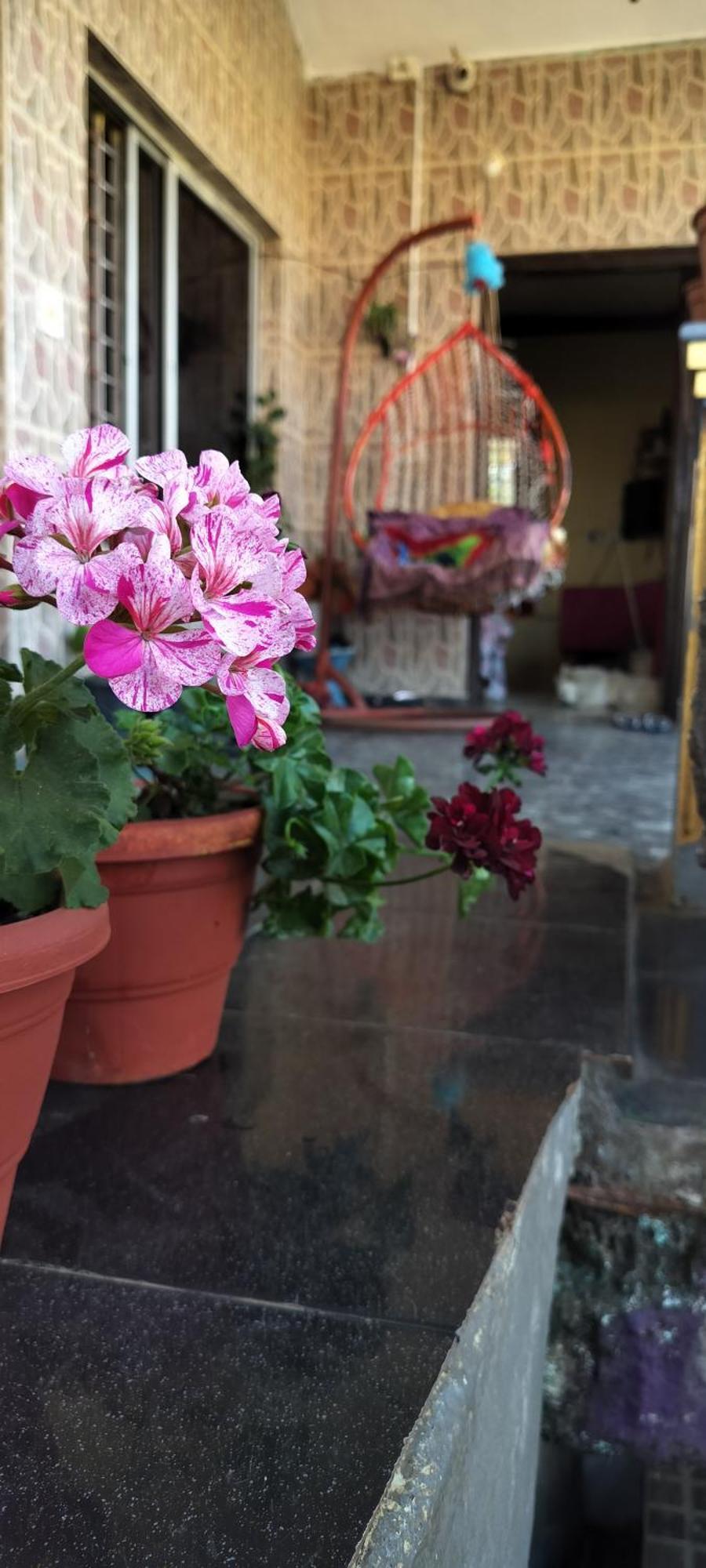 Royal Palm Homestay Мадикери Экстерьер фото