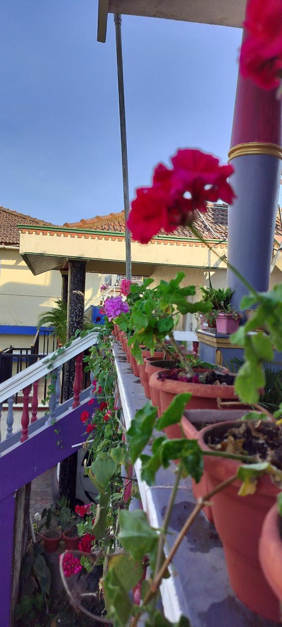 Royal Palm Homestay Мадикери Экстерьер фото