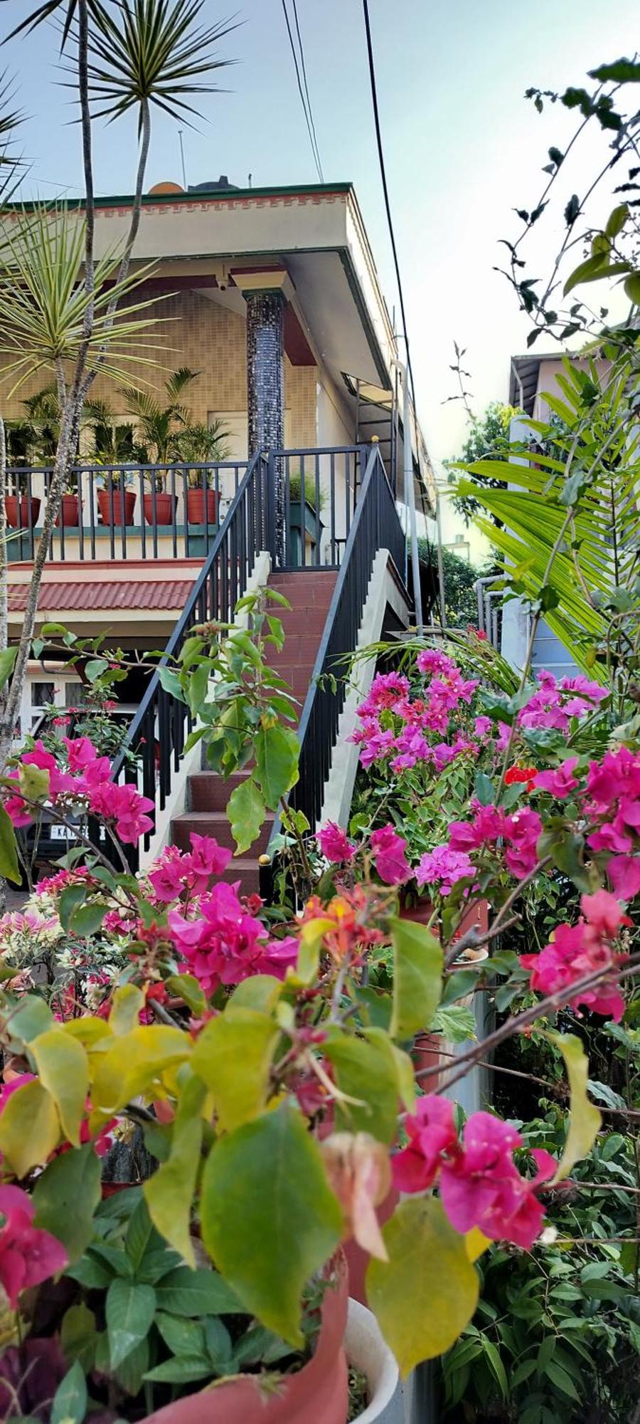 Royal Palm Homestay Мадикери Экстерьер фото