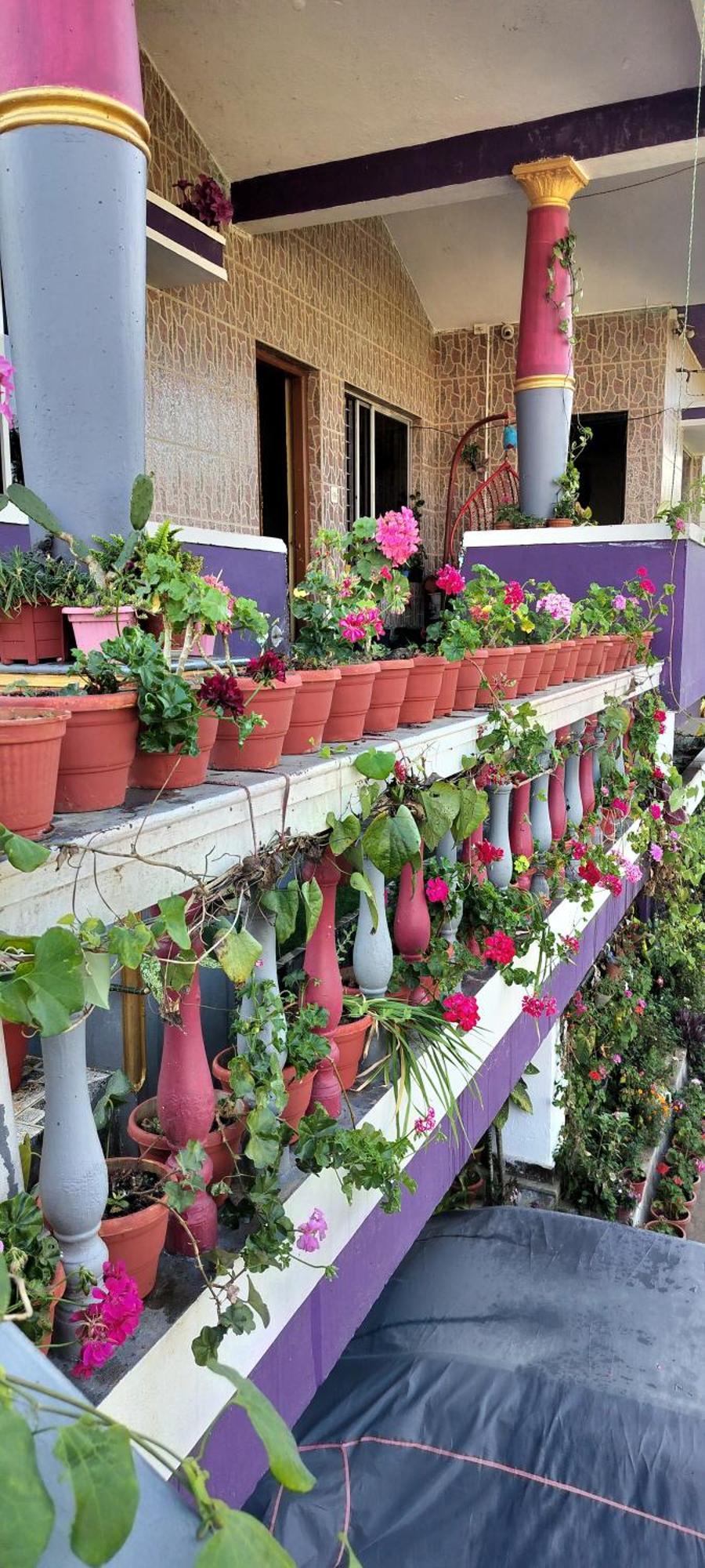 Royal Palm Homestay Мадикери Экстерьер фото